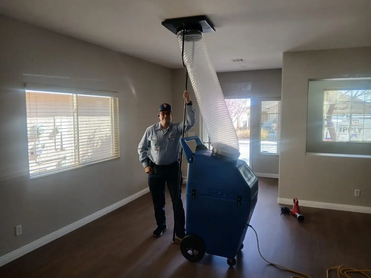 Professional Dryer Vent Cleaning work inside a Palestine home